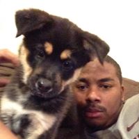 Steven Mccray Photo 14
