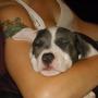 Kelly Marx Photo 20
