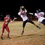 Tom Mcdaniel Photo 44