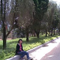 Toan Ho Photo 10