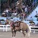 Jerry Mclain Photo 19