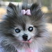 Teresa Tucker Photo 20