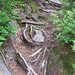 Dorothy Camp Photo 15