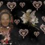 Donna Mclaughlin Photo 19