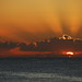 Ray Lucas Photo 43