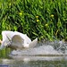 Steve Land Photo 31