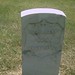 Robert Toler Photo 21