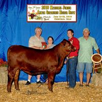 Teresa Butler Photo 31