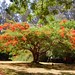 Lisa Haller Photo 32