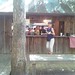 Joann Powers Photo 16
