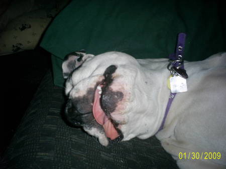 Debra Gallagher Photo 15