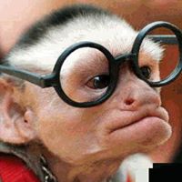 Maximus Smith Photo 4