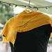 Melinda Kohler Photo 10