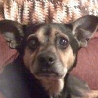 Teresa Robison Photo 8