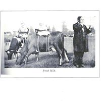 Steve Rockwell Photo 10