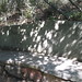 Henry Pritchett Photo 15