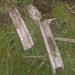 Barry Armstrong Photo 41