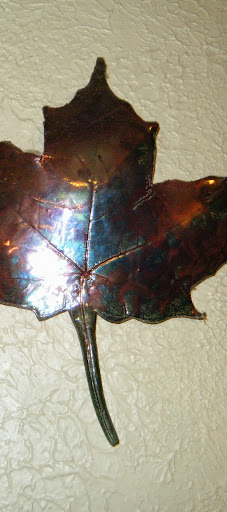 Ryan Maple Photo 2