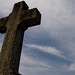 Erik Cross Photo 12
