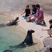 Cole Seal Photo 8