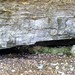 Donald Creek Photo 9
