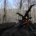 Kay Woods Photo 12