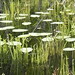Bradley Waters Photo 27
