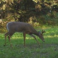 Linda Burkholder Photo 18