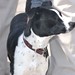 Marshall Ruth Photo 8