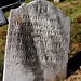 Ann Hendricks Photo 21