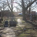Deborah Dyckman Photo 9