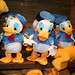 Donald Norton Photo 17
