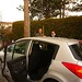 Ted Knowles Photo 15