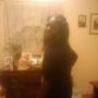 Kathleen Mckinney Photo 12