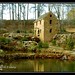 Bill Pugh Photo 3