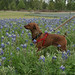 Sterling Barker Photo 7