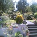 Nora Ward Photo 22