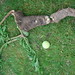 Maureen Root Photo 11