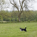 Max Ball Photo 12