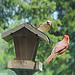 Deborah Way Photo 19