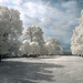 Thomas Strom Photo 11