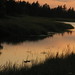 Barbara Rivers Photo 19