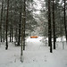 Donald Weber Photo 12