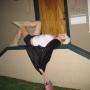 Katie Briggs Photo 22