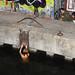 Andrea Lauer Photo 9