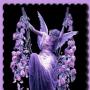 Patricia Saunders Photo 7