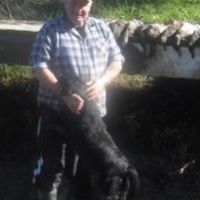 Lloyd Herbert Photo 9