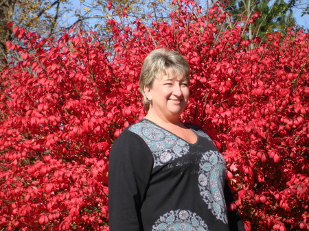 Carole Smith Photo 11