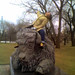 Theresa Cole Photo 19