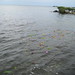 Glen Keys Photo 17